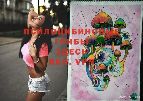 прущие грибы Абдулино